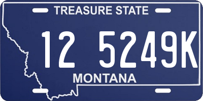MT license plate 125249K