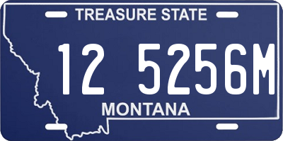 MT license plate 125256M