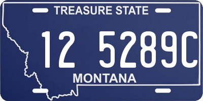 MT license plate 125289C