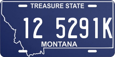 MT license plate 125291K