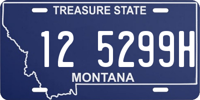 MT license plate 125299H