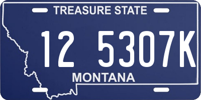 MT license plate 125307K