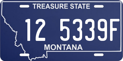 MT license plate 125339F