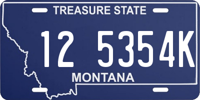 MT license plate 125354K