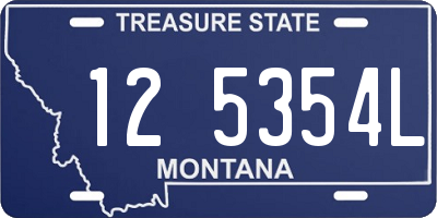 MT license plate 125354L