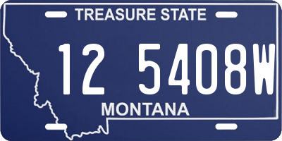 MT license plate 125408W