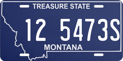 MT license plate 125473S