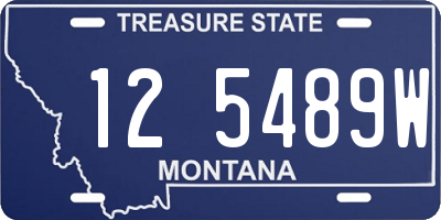 MT license plate 125489W