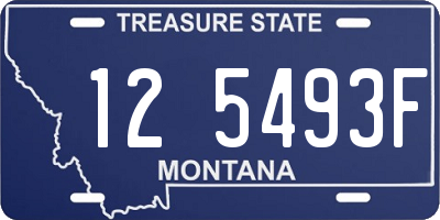 MT license plate 125493F