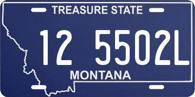 MT license plate 125502L