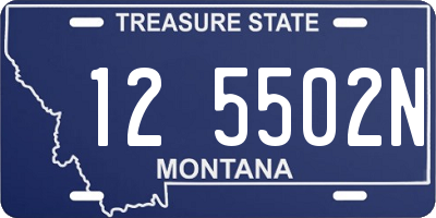 MT license plate 125502N
