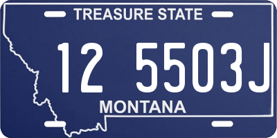 MT license plate 125503J