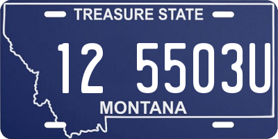 MT license plate 125503U
