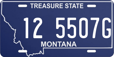 MT license plate 125507G