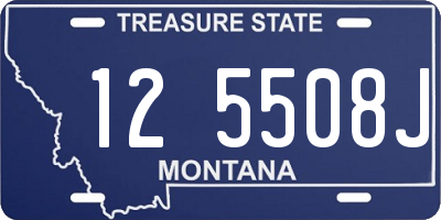MT license plate 125508J