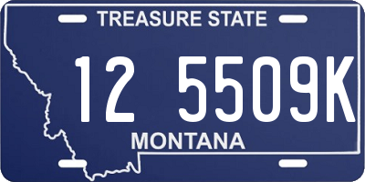 MT license plate 125509K