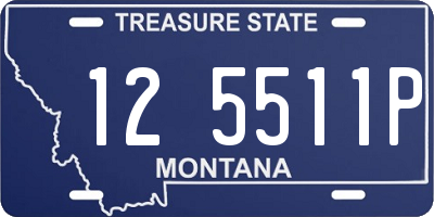 MT license plate 125511P