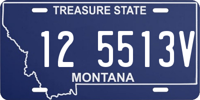 MT license plate 125513V