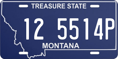 MT license plate 125514P