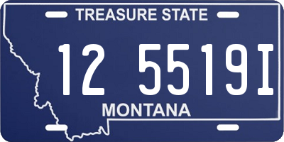 MT license plate 125519I