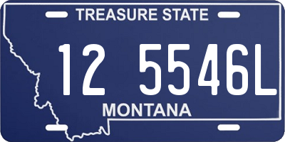MT license plate 125546L