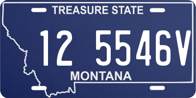 MT license plate 125546V