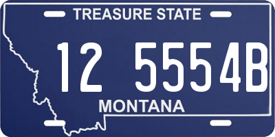 MT license plate 125554B