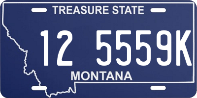 MT license plate 125559K