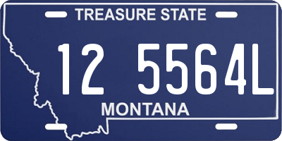 MT license plate 125564L