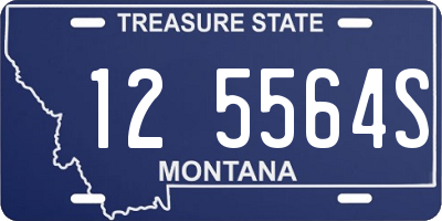 MT license plate 125564S