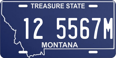 MT license plate 125567M