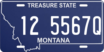 MT license plate 125567Q