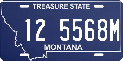 MT license plate 125568M