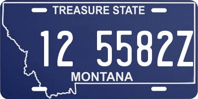 MT license plate 125582Z