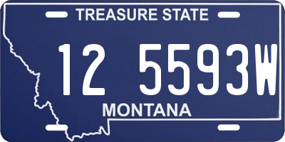 MT license plate 125593W