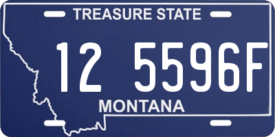 MT license plate 125596F