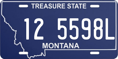 MT license plate 125598L