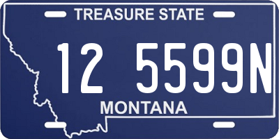 MT license plate 125599N