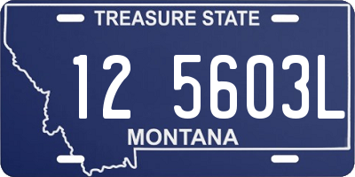 MT license plate 125603L