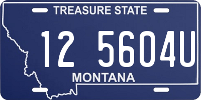 MT license plate 125604U