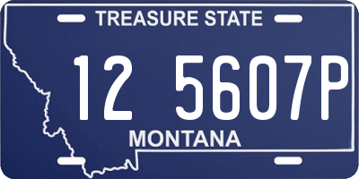 MT license plate 125607P
