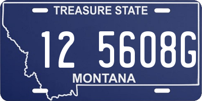 MT license plate 125608G