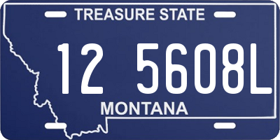 MT license plate 125608L