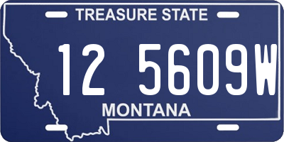 MT license plate 125609W