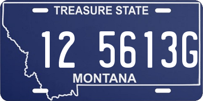 MT license plate 125613G
