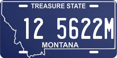 MT license plate 125622M