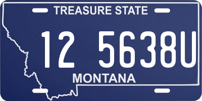 MT license plate 125638U