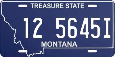 MT license plate 125645I