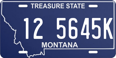 MT license plate 125645K