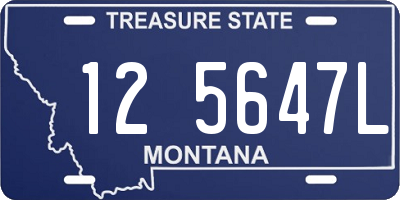 MT license plate 125647L